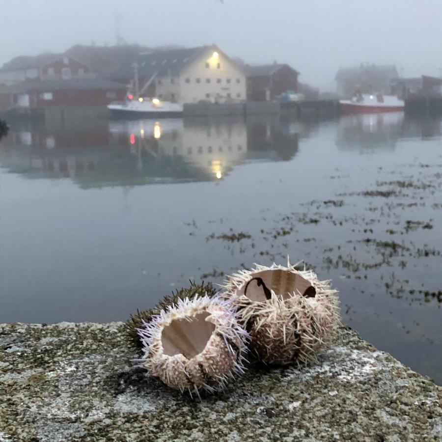 Laukvik Suites Lägenhet